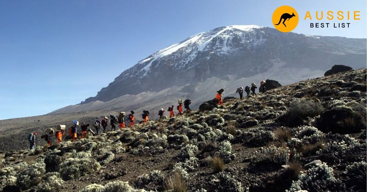 Criteria for Selecting the Best Kilimanjaro Operators