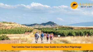 best camino tour companies