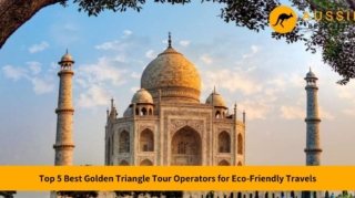 best golden triangle tour operator