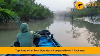 best sundarban tour operators