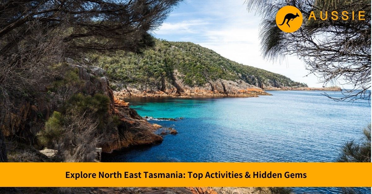 things to do in north east tasmania